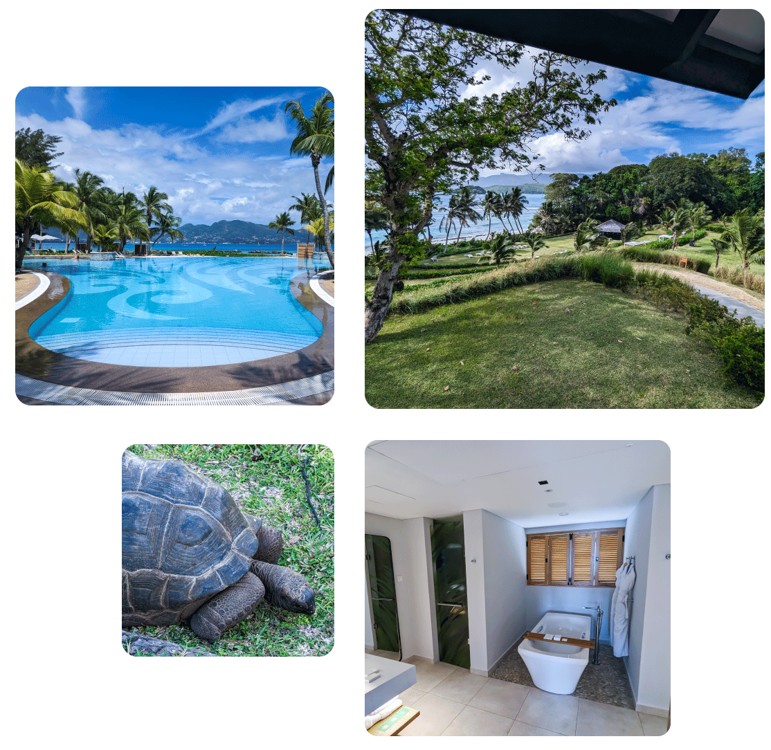 Bilder Seychellen Insel Hotel und Schildkröte
