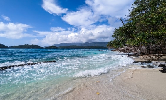 Türkisblauer Strand auf den Seychellen