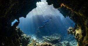 Tauchen im türkisfarbenen Wasser von Cancun